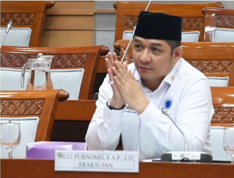 Pasha Ungu